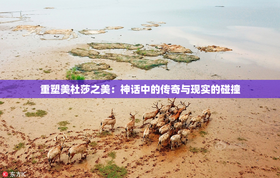 重塑美杜莎之美：神话中的传奇与现实的碰撞