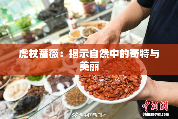 虎杖蔷薇：揭示自然中的奇特与美丽