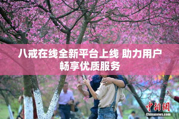 八戒在线全新平台上线 助力用户畅享优质服务