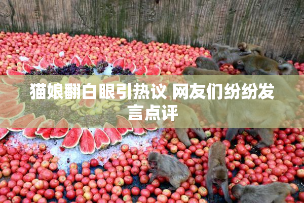 猫娘翻白眼引热议 网友们纷纷发言点评