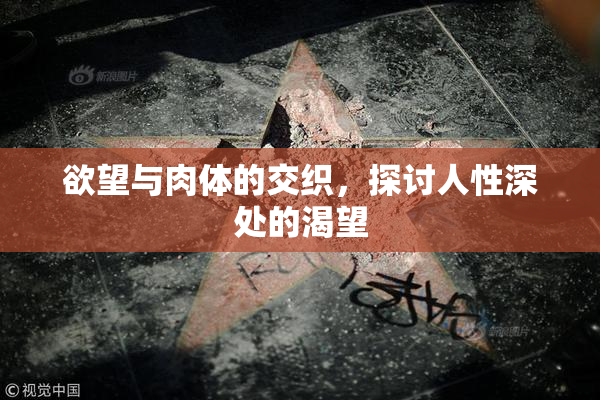 欲望与肉体的交织，探讨人性深处的渴望