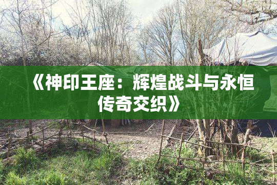 《神印王座：辉煌战斗与永恒传奇交织》