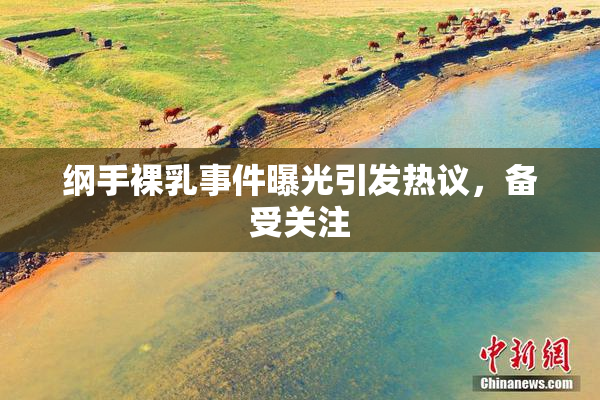 纲手裸乳事件曝光引发热议，备受关注
