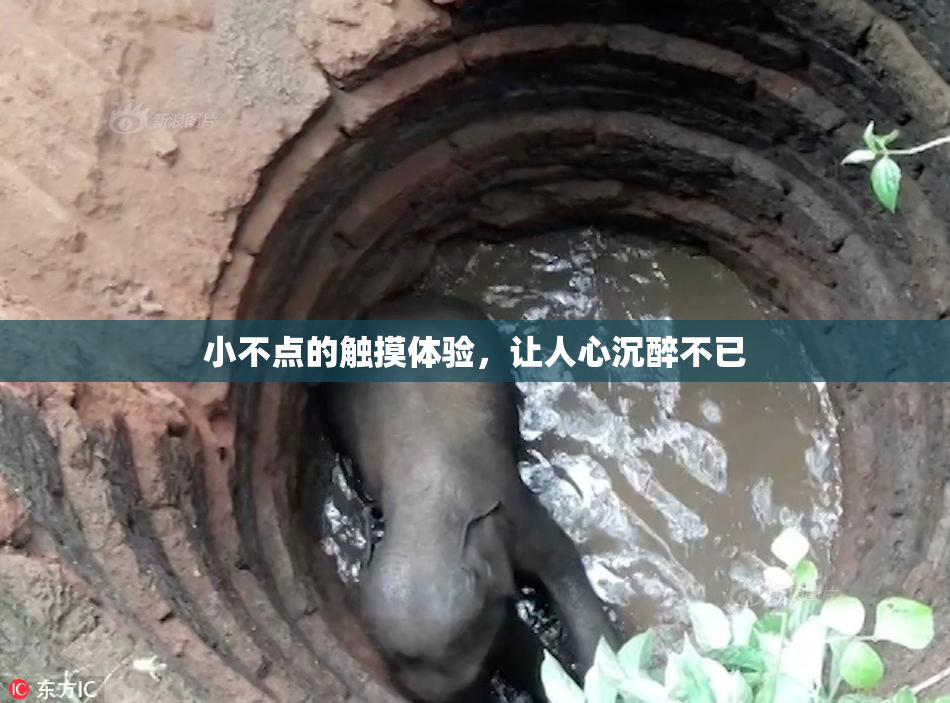 小不点的触摸体验，让人心沉醉不已