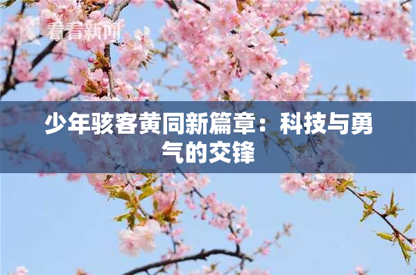 少年骇客黄同新篇章：科技与勇气的交锋