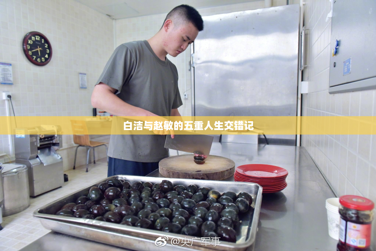 白洁与赵敏的五重人生交错记