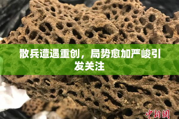 散兵遭遇重创，局势愈加严峻引发关注