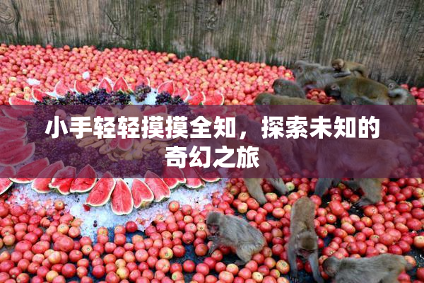 小手轻轻摸摸全知，探索未知的奇幻之旅