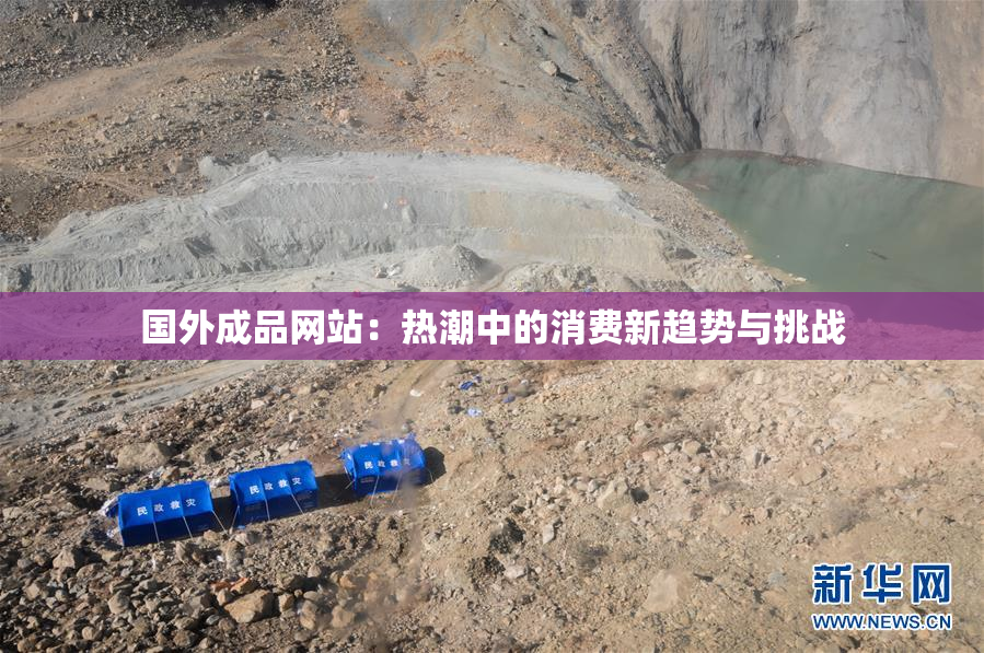 国外成品网站：热潮中的消费新趋势与挑战