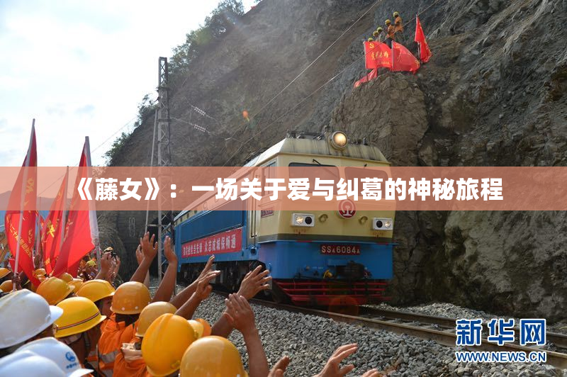 《藤女》：一场关于爱与纠葛的神秘旅程