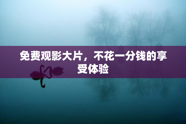免费观影大片，不花一分钱的享受体验