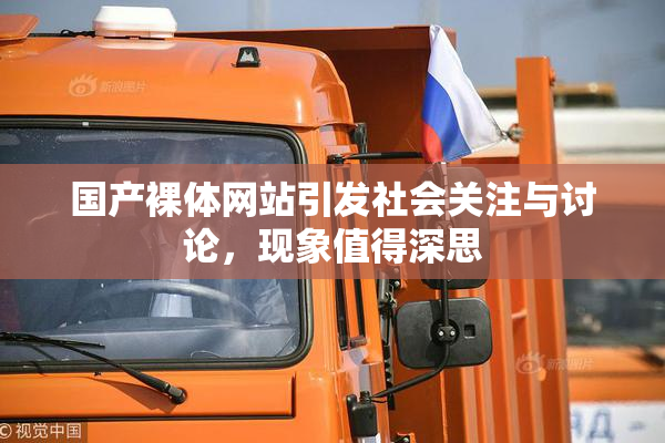 国产裸体网站引发社会关注与讨论，现象值得深思