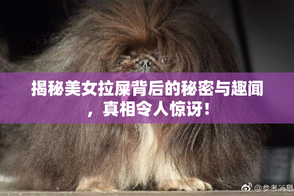 揭秘美女拉屎背后的秘密与趣闻，真相令人惊讶！