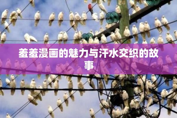 羞羞漫画的魅力与汗水交织的故事