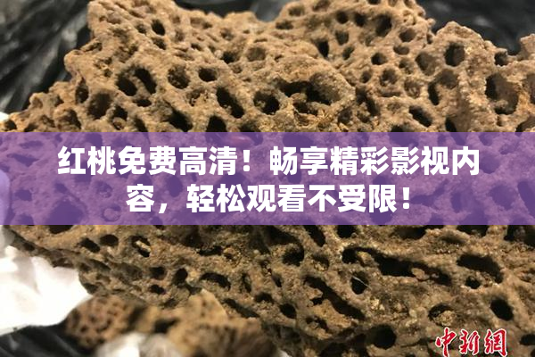 红桃免费高清！畅享精彩影视内容，轻松观看不受限！