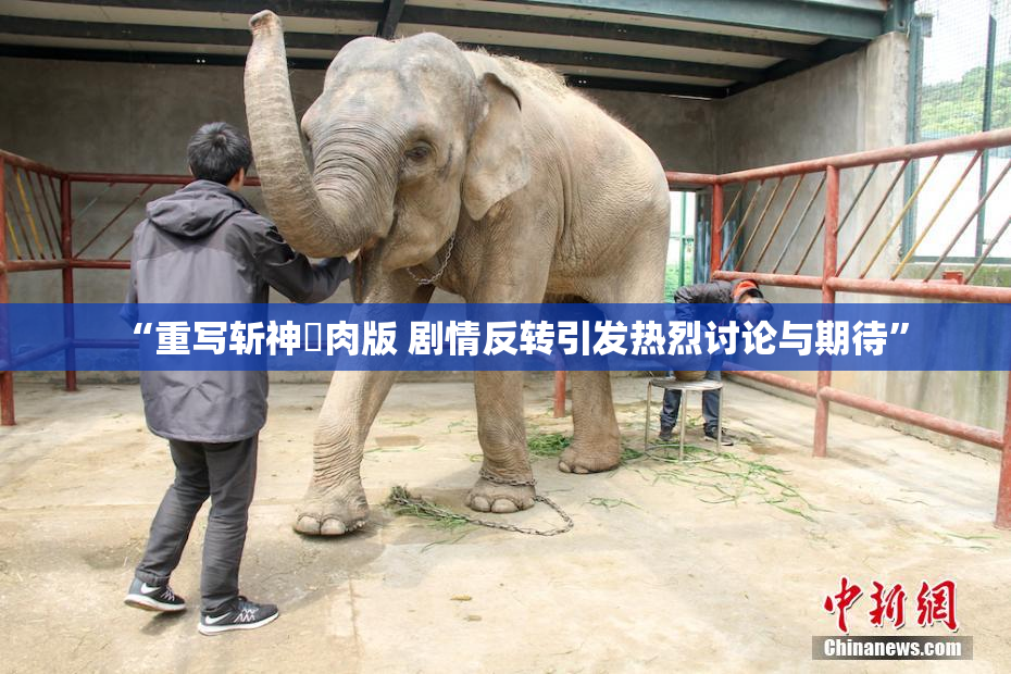 “重写斩神婬肉版 剧情反转引发热烈讨论与期待”