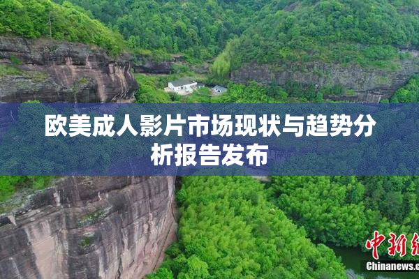 欧美成人影片市场现状与趋势分析报告发布