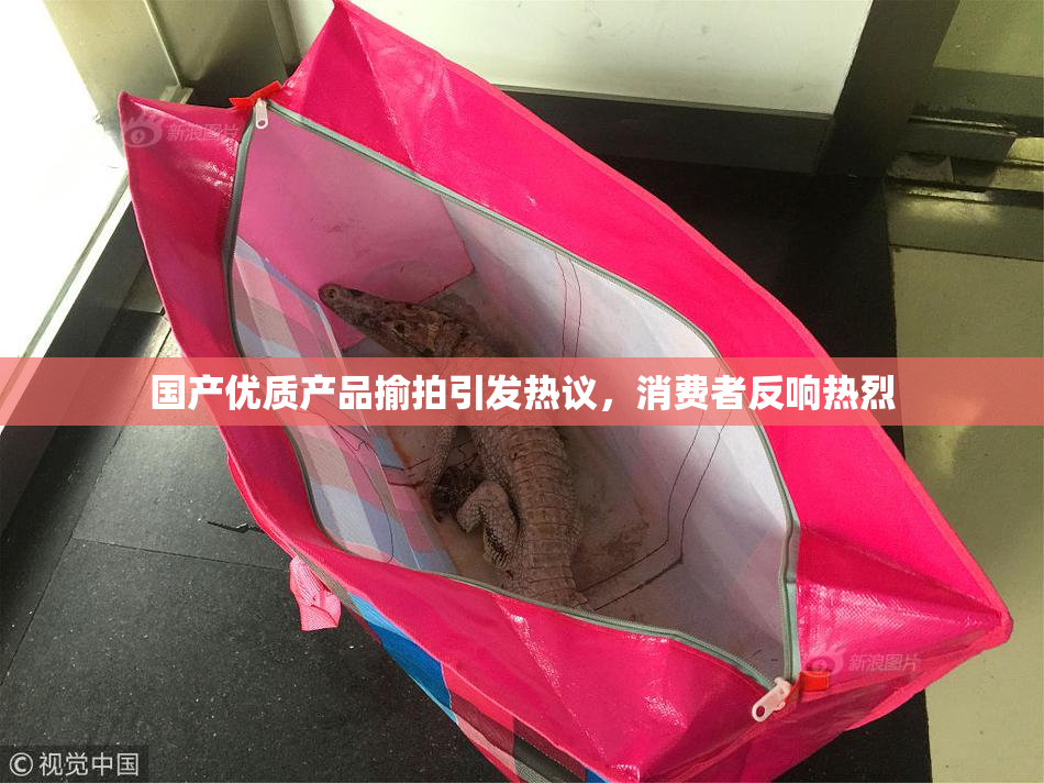 国产优质产品揄拍引发热议，消费者反响热烈