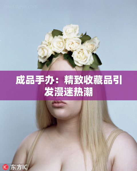 成品手办：精致收藏品引发漫迷热潮