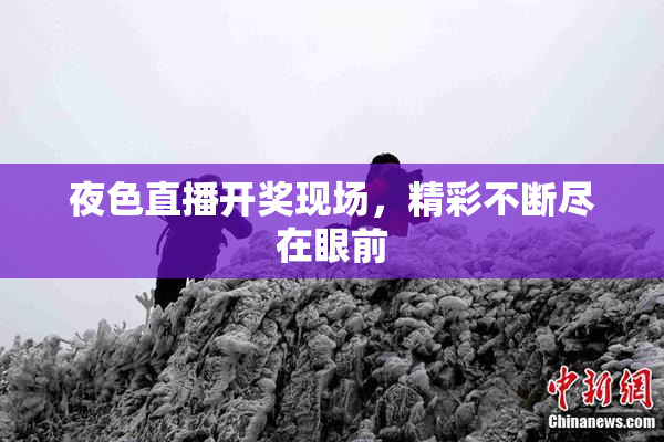 夜色直播开奖现场，精彩不断尽在眼前