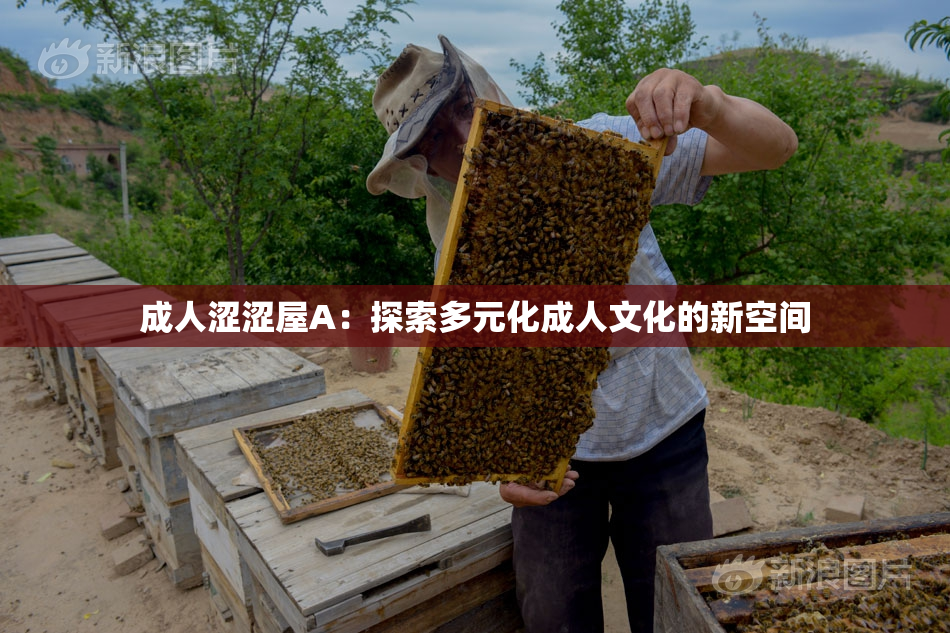 成人涩涩屋A：探索多元化成人文化的新空间
