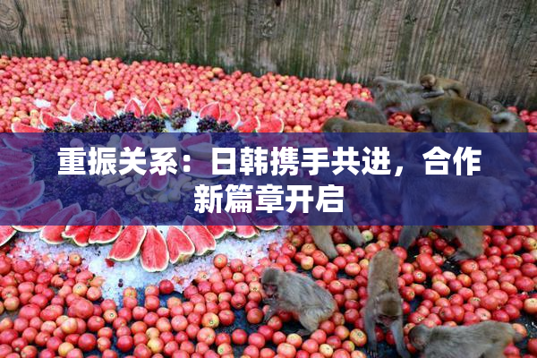 重振关系：日韩携手共进，合作新篇章开启