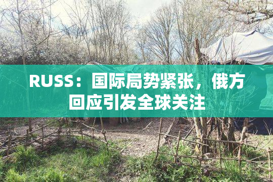 RUSS：国际局势紧张，俄方回应引发全球关注