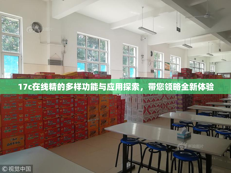 17c在线精的多样功能与应用探索，带您领略全新体验