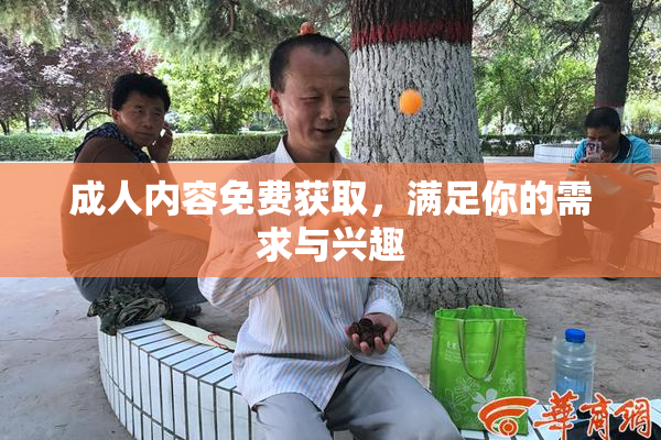 成人内容免费获取，满足你的需求与兴趣