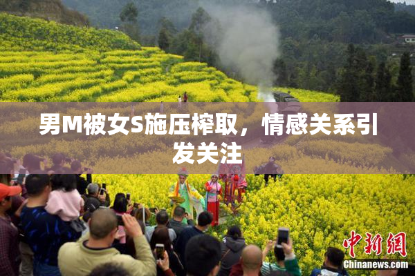 男M被女S施压榨取，情感关系引发关注