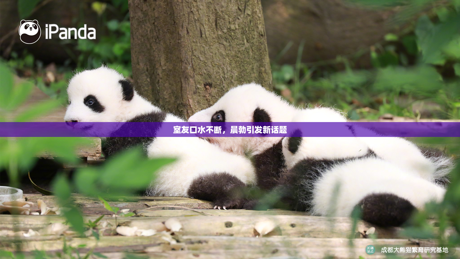 室友口水不断，晨勃引发新话题