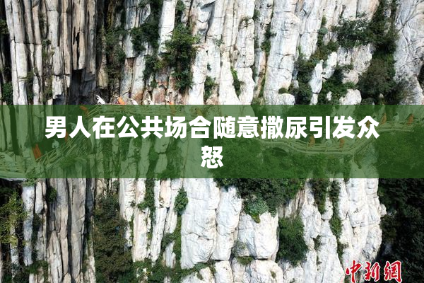 男人在公共场合随意撒尿引发众怒