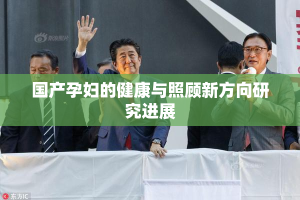 国产孕妇的健康与照顾新方向研究进展