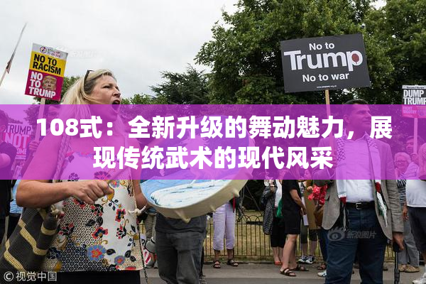 108式：全新升级的舞动魅力，展现传统武术的现代风采