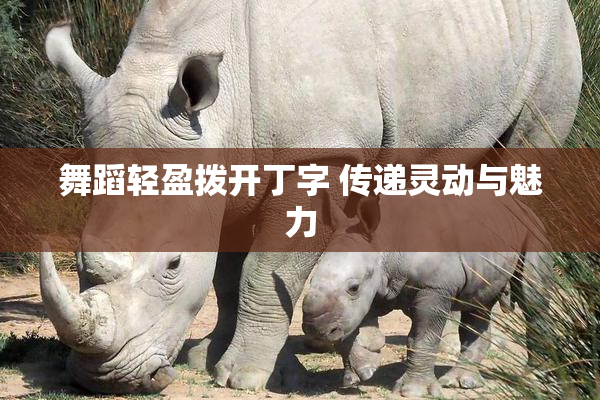舞蹈轻盈拨开丁字 传递灵动与魅力