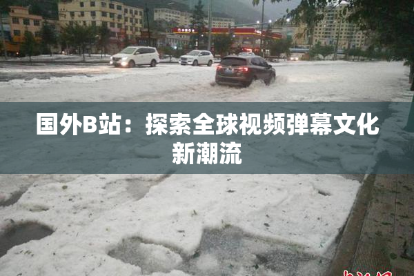 国外B站：探索全球视频弹幕文化新潮流
