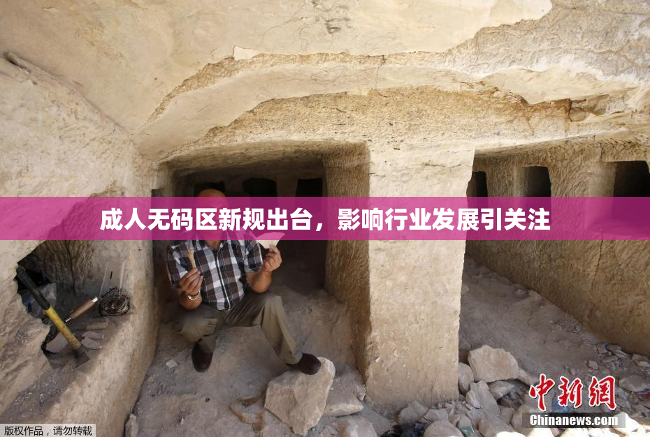 成人无码区新规出台，影响行业发展引关注