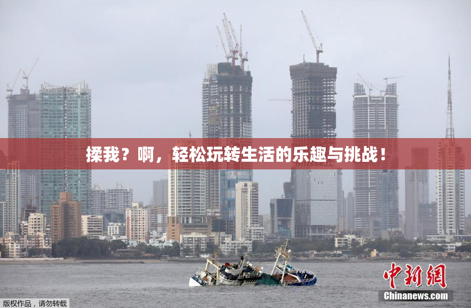 揉我？啊，轻松玩转生活的乐趣与挑战！