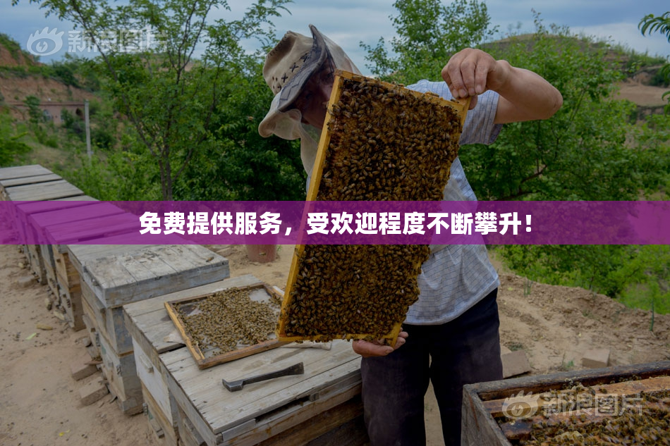 免费提供服务，受欢迎程度不断攀升！