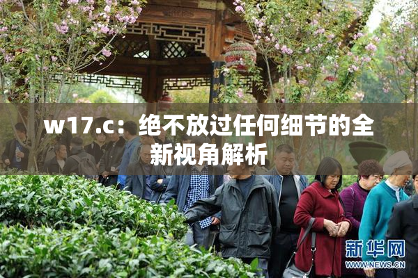 w17.c：绝不放过任何细节的全新视角解析