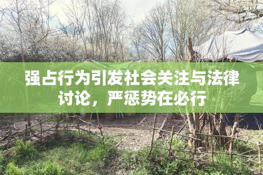 强占行为引发社会关注与法律讨论，严惩势在必行