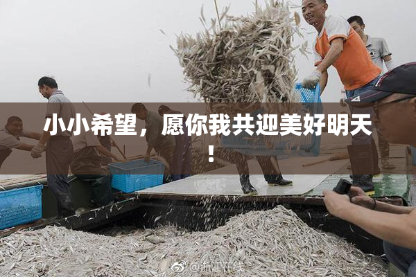小小希望，愿你我共迎美好明天！