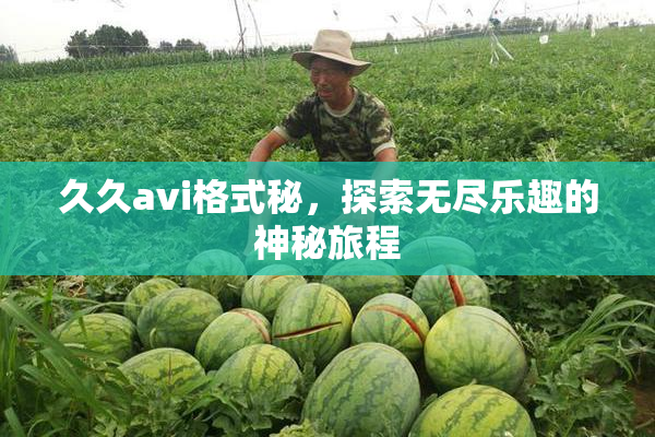 久久avi格式秘，探索无尽乐趣的神秘旅程