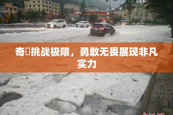 奇犽挑战极限，勇敢无畏展现非凡实力