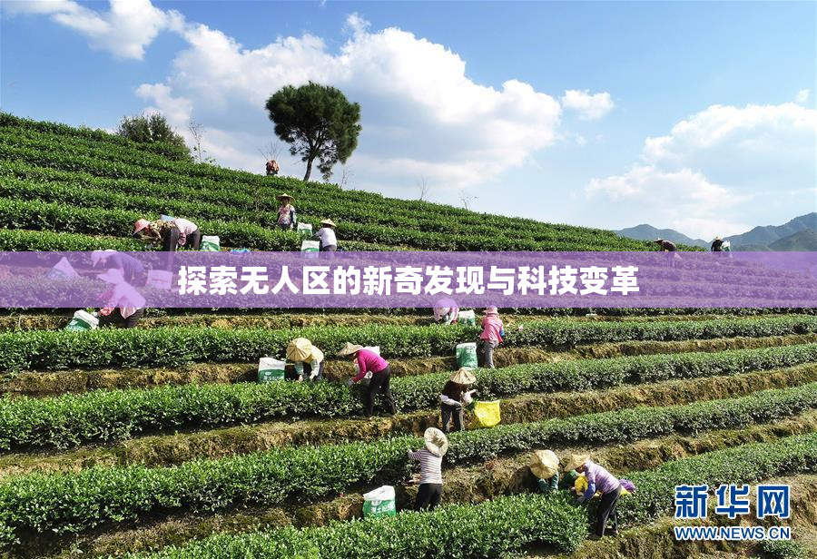 探索无人区的新奇发现与科技变革