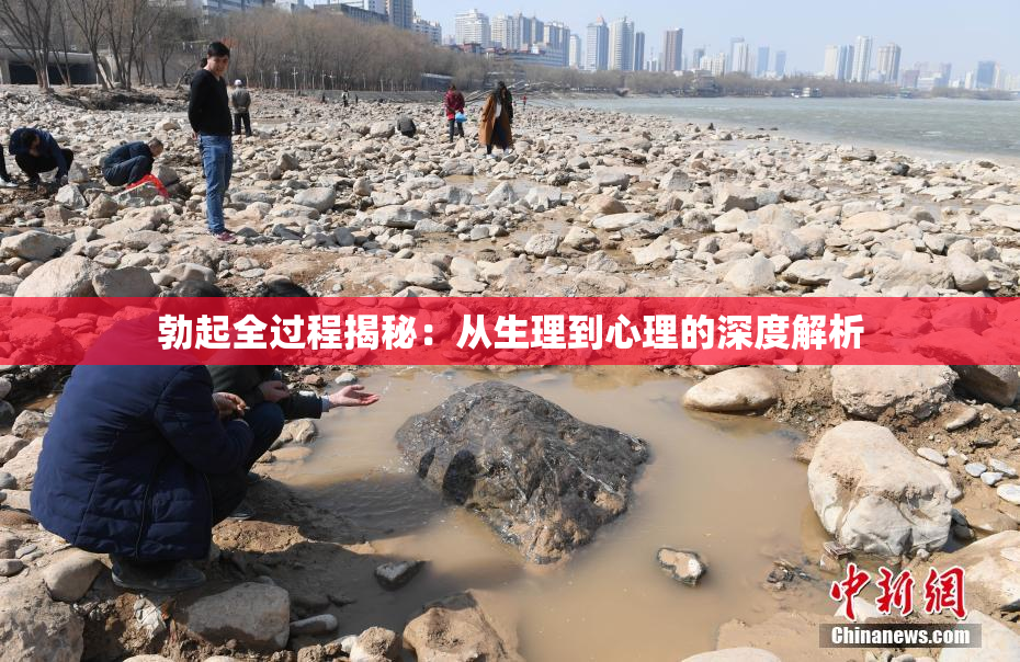 勃起全过程揭秘：从生理到心理的深度解析