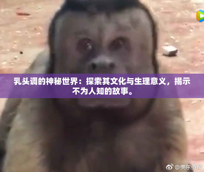 乳头调的神秘世界：探索其文化与生理意义，揭示不为人知的故事。
