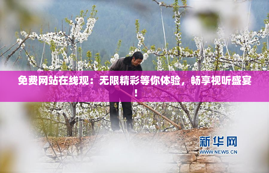 免费网站在线观：无限精彩等你体验，畅享视听盛宴！