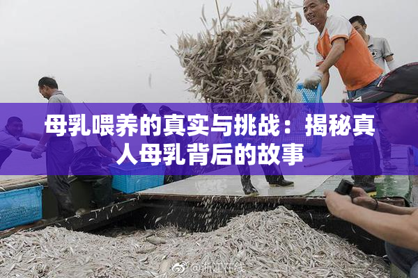 母乳喂养的真实与挑战：揭秘真人母乳背后的故事