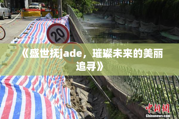 《盛世抚jade，璀璨未来的美丽追寻》